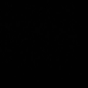 Meet your Posher, Desiree